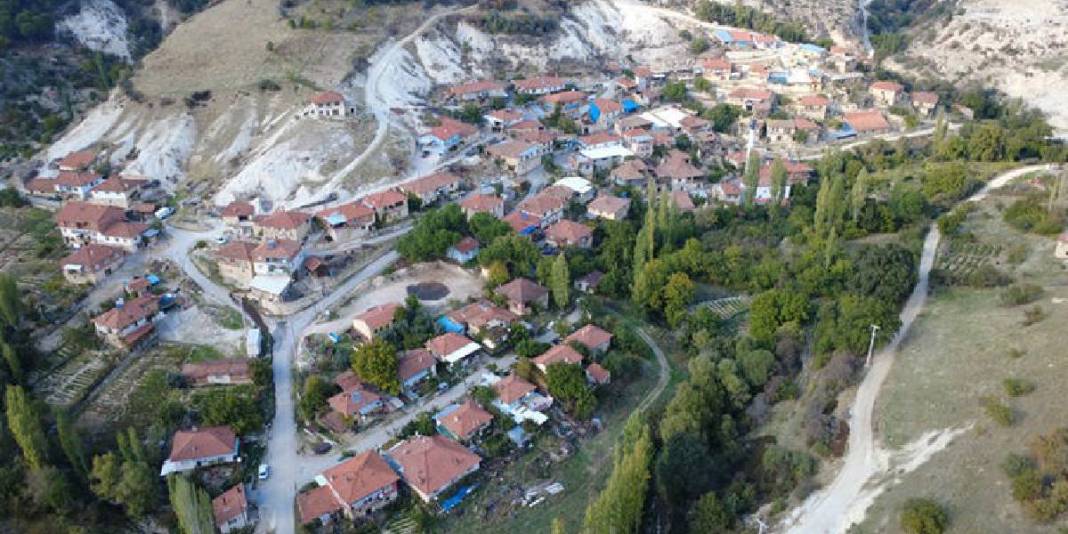 Memuriyeti bitti, üreticiliğe geçti! 12 yıl önce 10 dönüme dikti: 4 yıldır bereketli hasat yapıyor 2